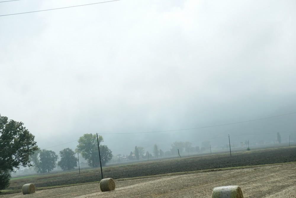 DSC02637.jpg