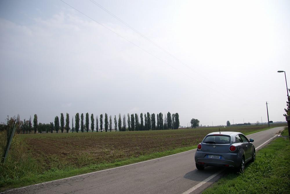 DSC02789.jpg