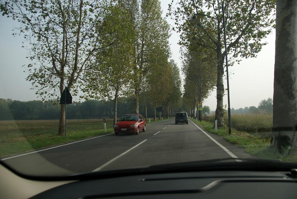 DSC04577.jpg