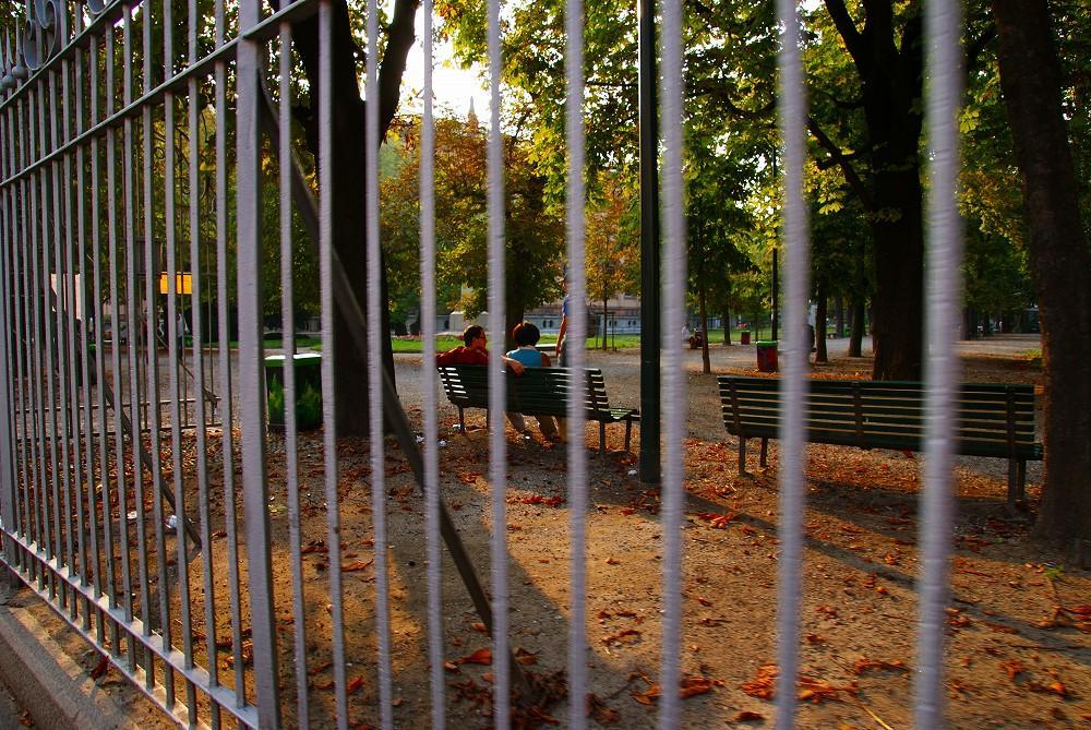 DSC04964.jpg