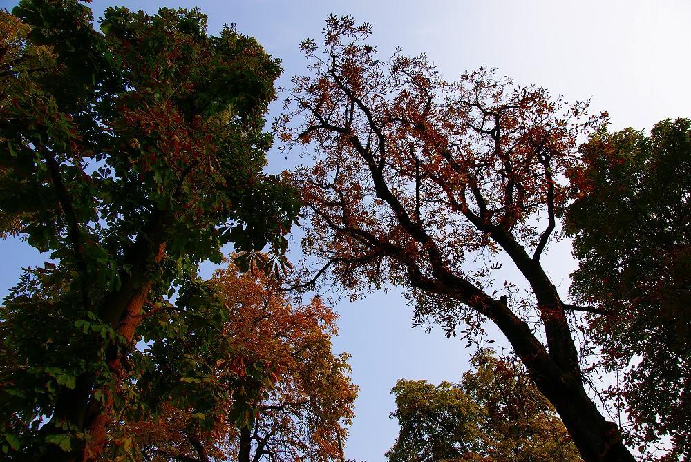 DSC04978.jpg