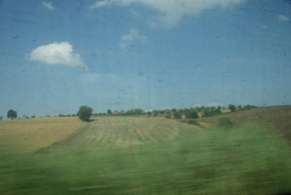 DSC05577.jpg
