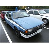 DSCF0913.jpg