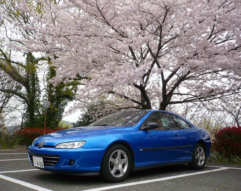 2014coupesakura1.jpg
