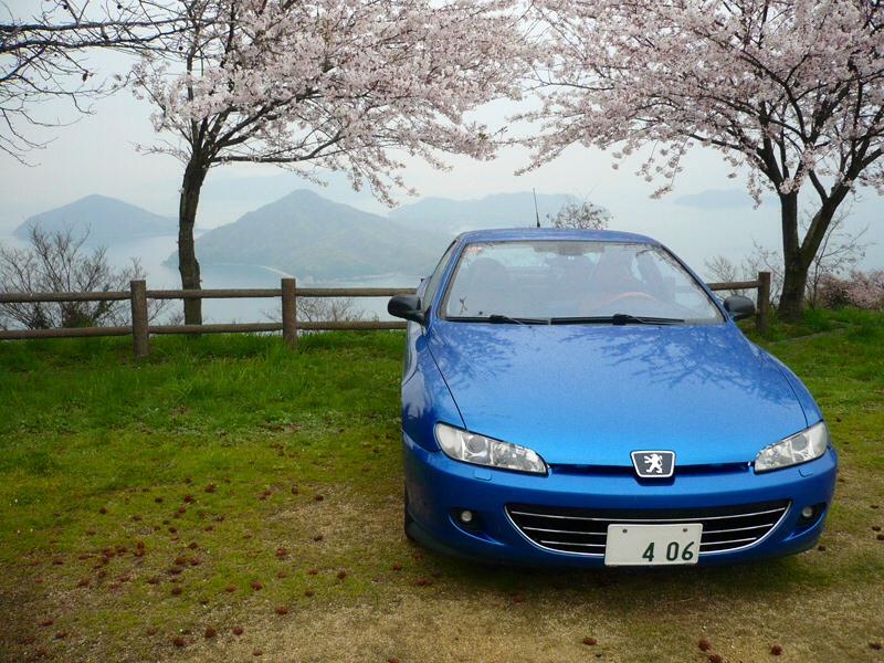 2014coupesakura3.jpg