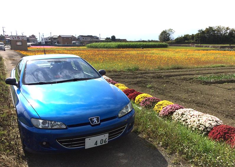 2015nov-coupe2-800.jpg