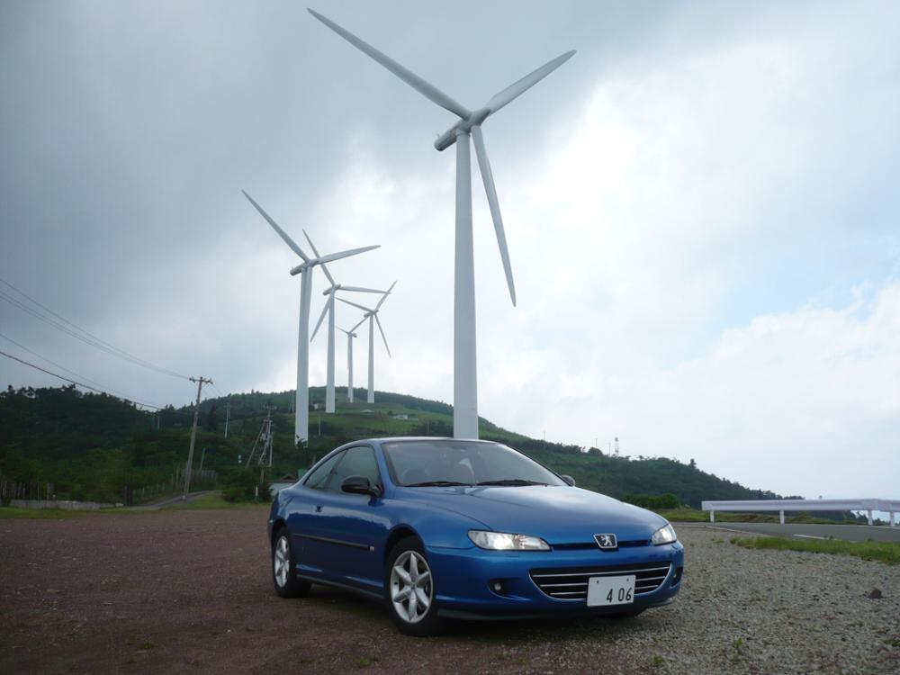 406coupe_fusya1.jpg