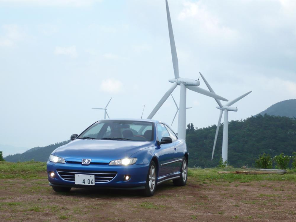 406coupe_fusya5.jpg
