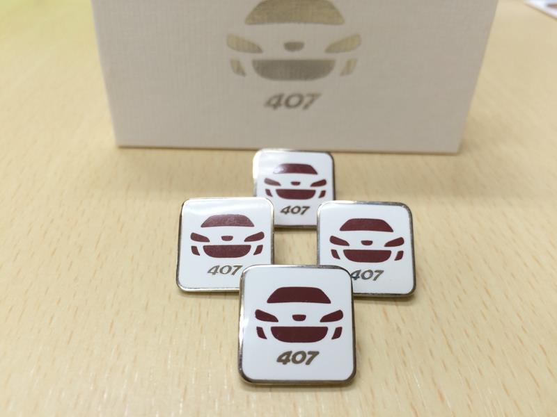 407pins.jpg