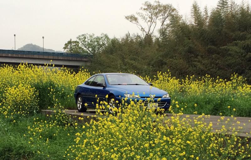 coupe406_2015_1_800.jpg