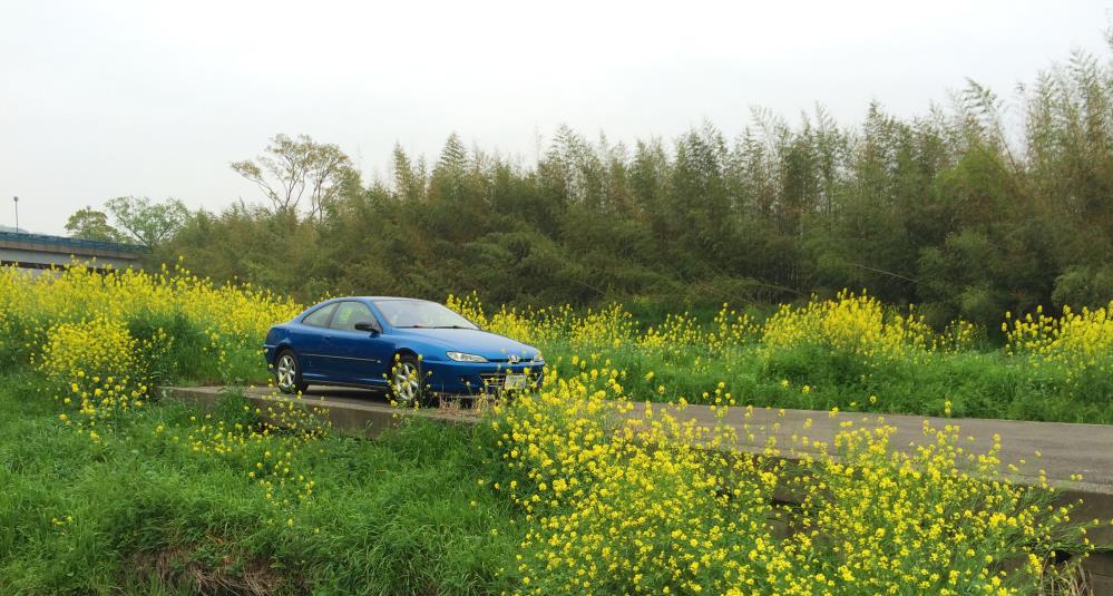 coupe406_2015_3.jpg