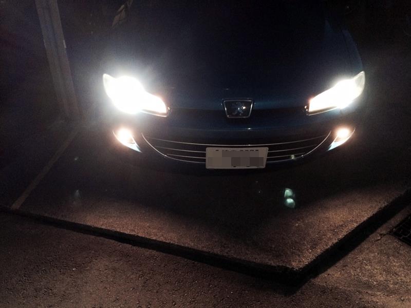 hid2.jpg