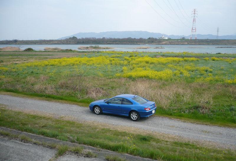nanohana-coupe1.jpg