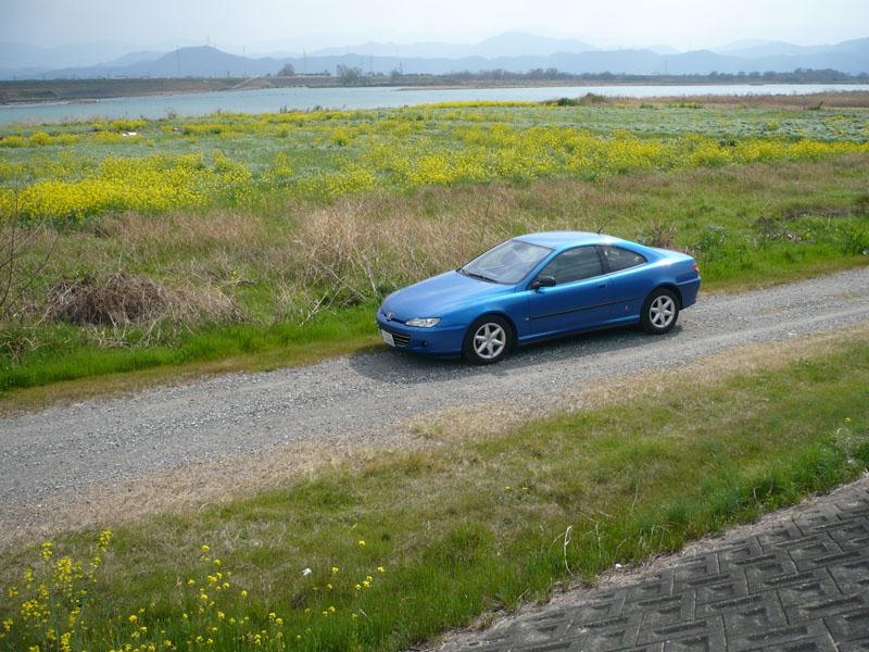 nanohana-coupe2.jpg