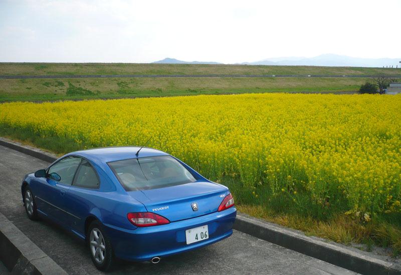 nanohana-coupe3.jpg