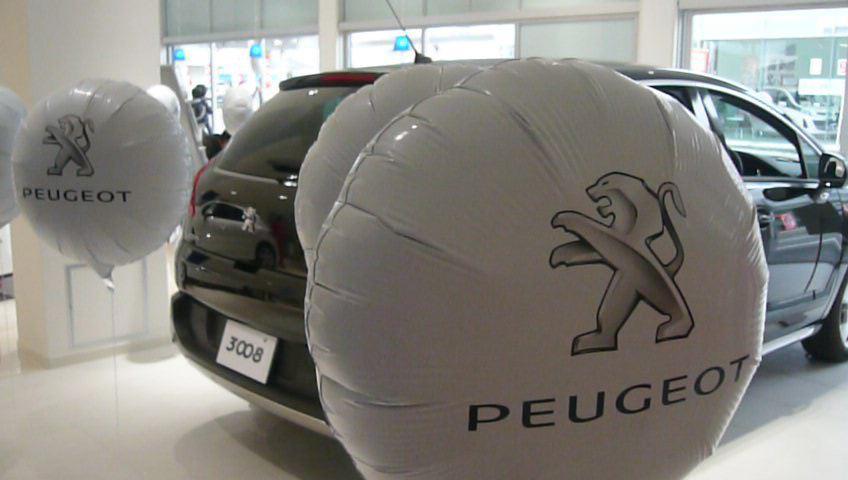 peugeot_2.jpg