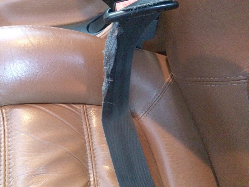seatbelt1.jpg