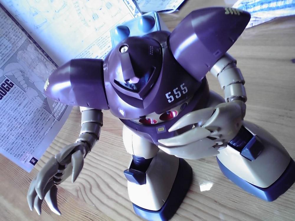 ゴッグ前２　0211.jpg