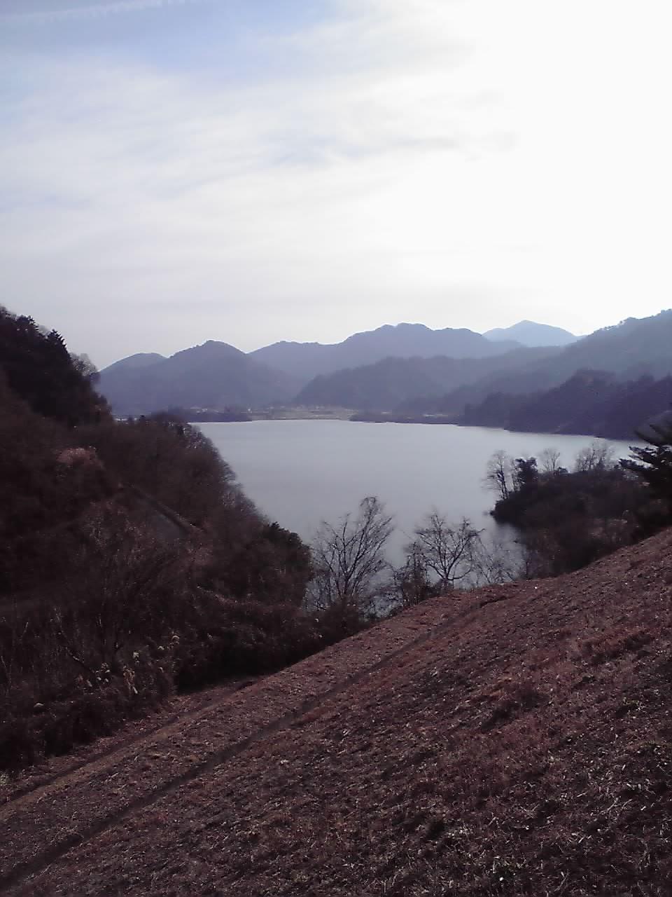 元日の定点観測.jpg