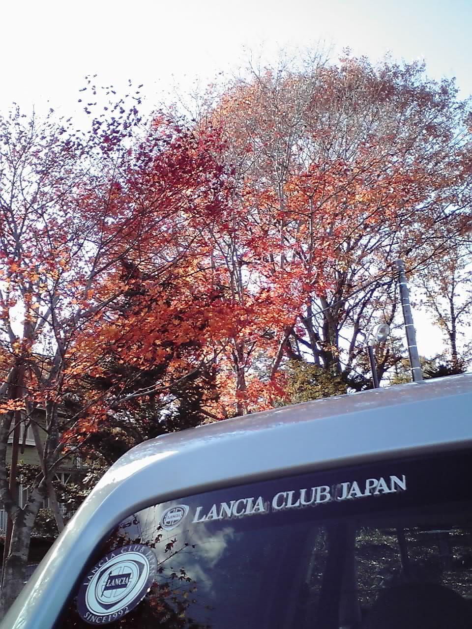 北軽井沢の紅葉２.jpg