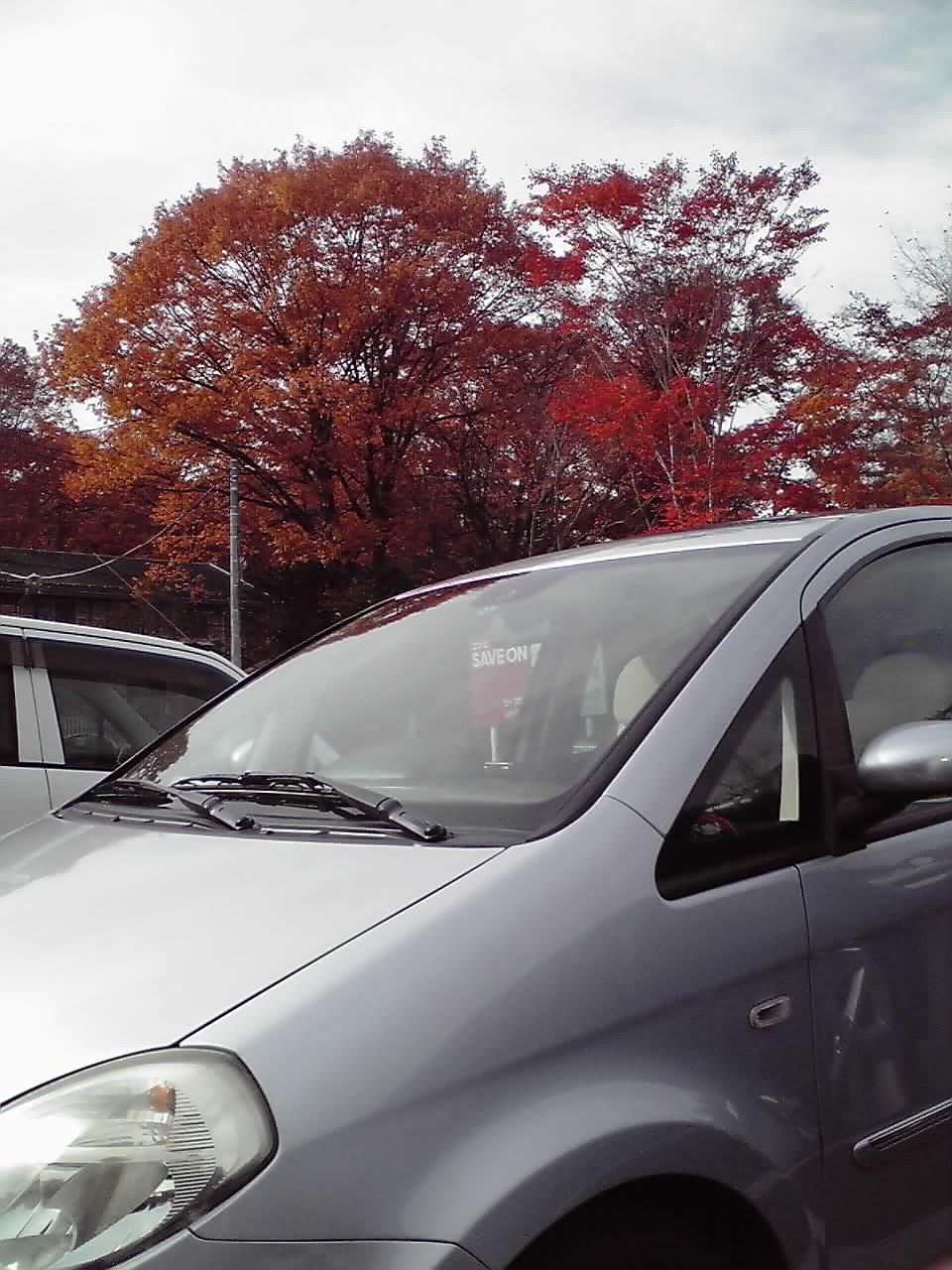 北軽井沢紅葉131103.jpg