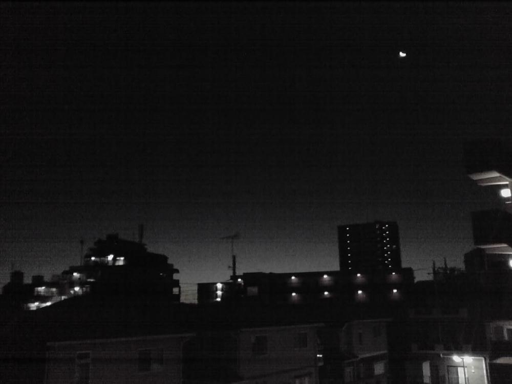夜明け  1130.jpg
