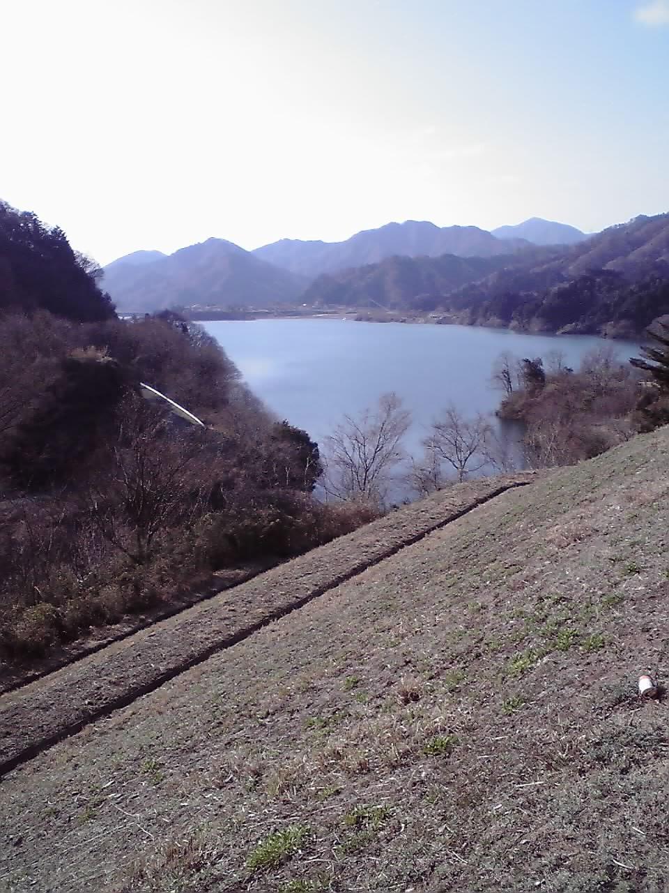定点観測0408.jpg