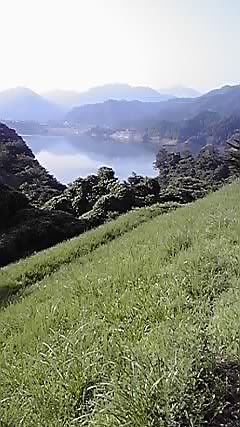 定点観測110811.jpg