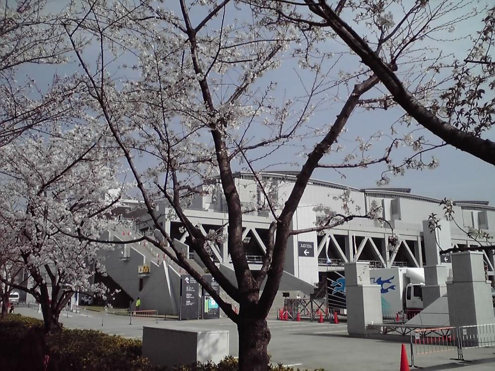 桜とビッグサイト0323.jpg