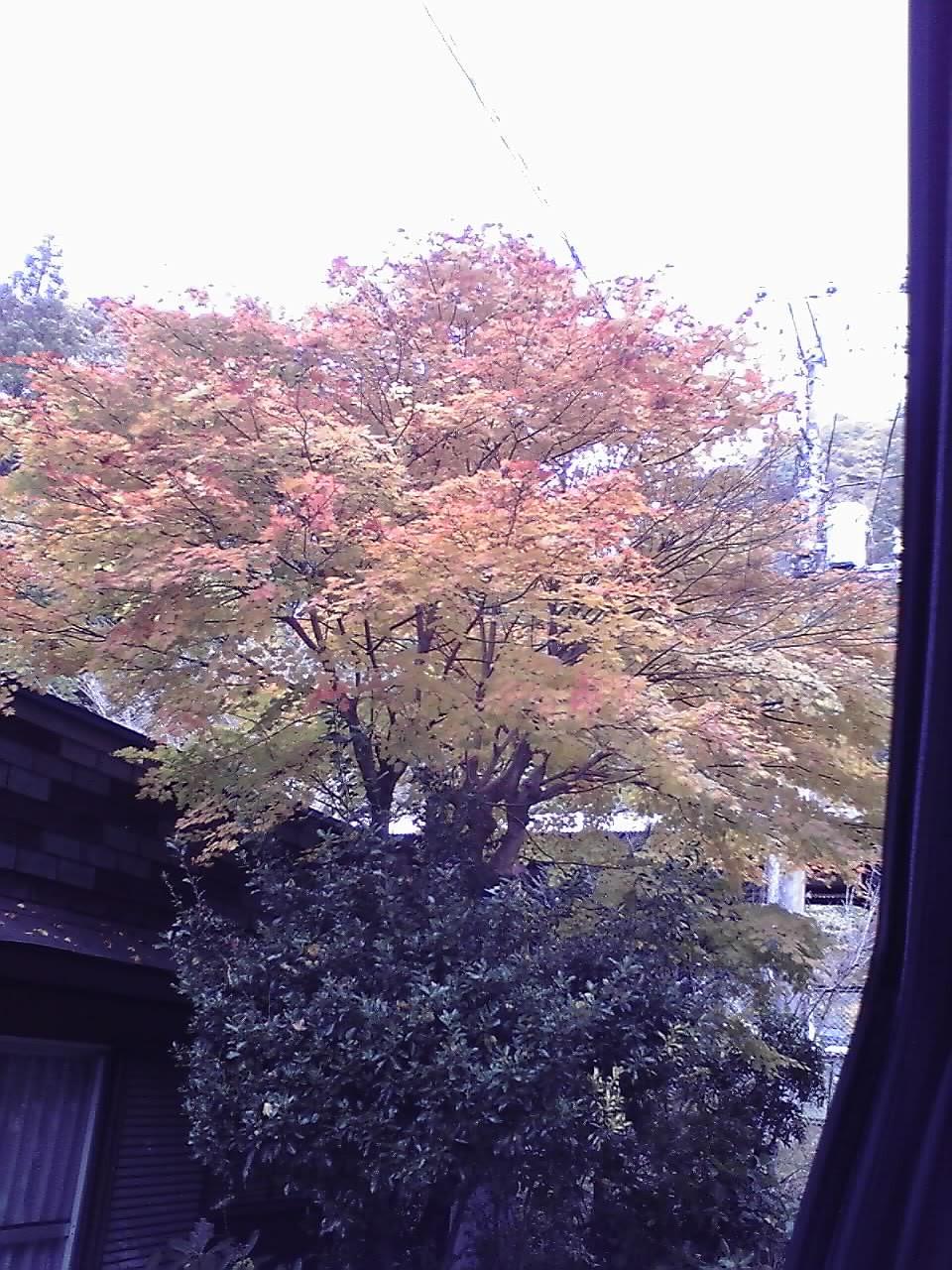 榛名山紅葉１ 131103.jpg