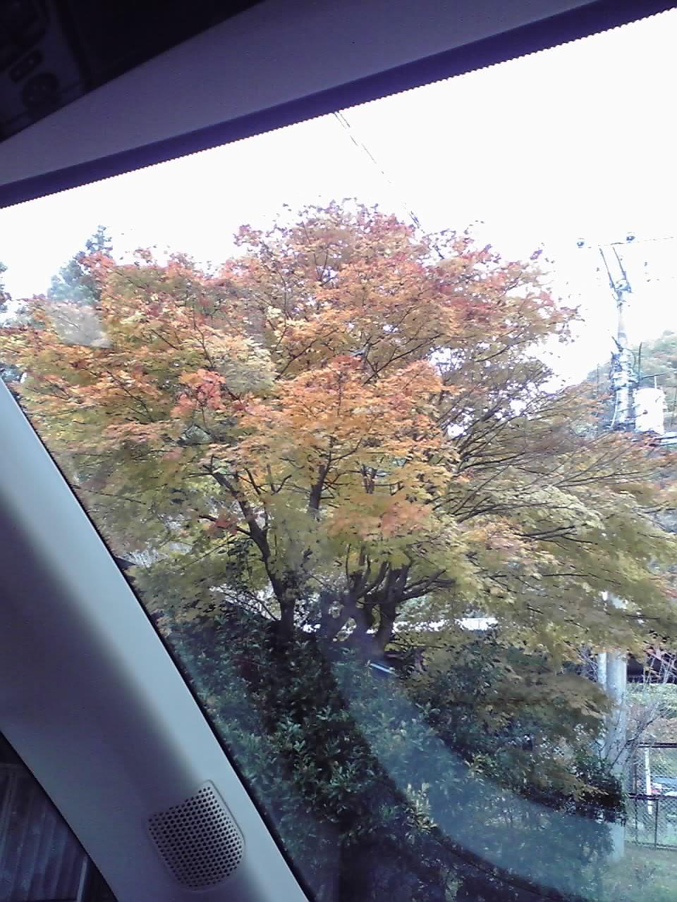 榛名山紅葉２ 131103.jpg