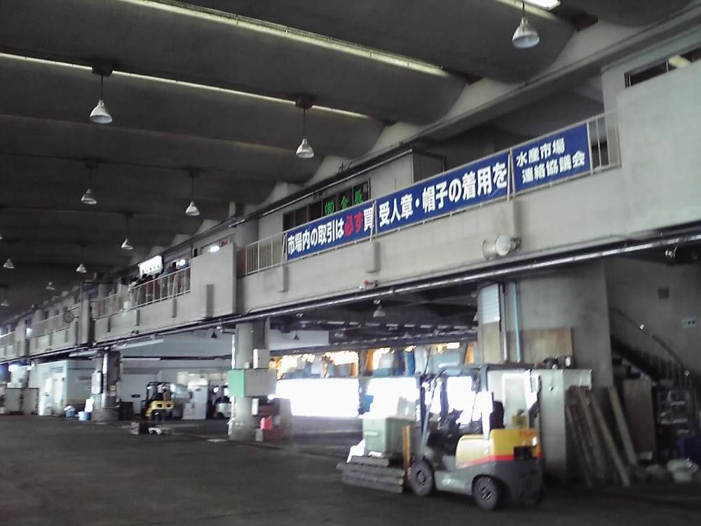 漁港内0115.jpg