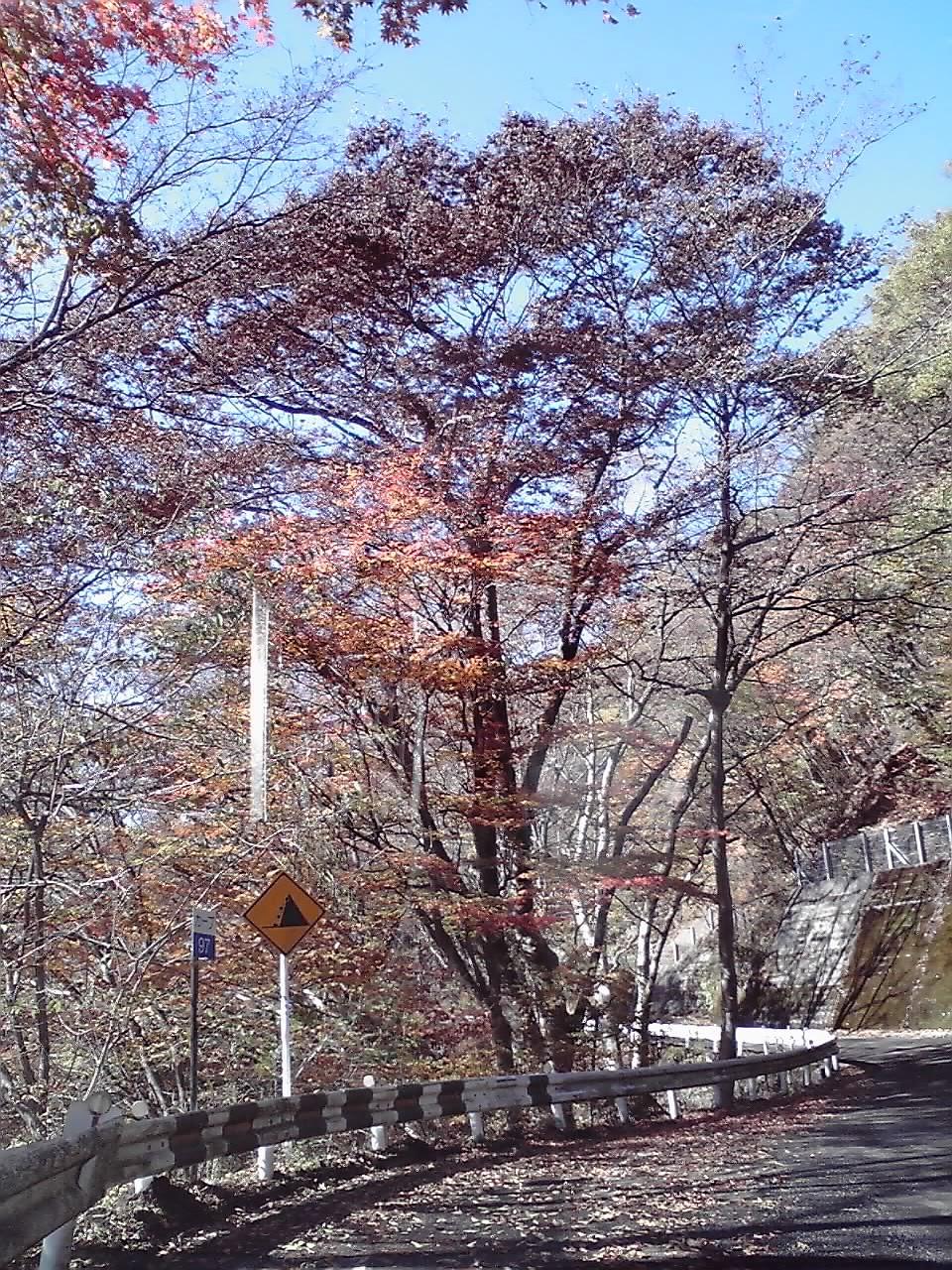 碓氷旧道1.jpg