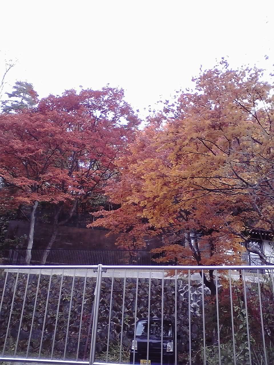 草津の紅葉131103.jpg