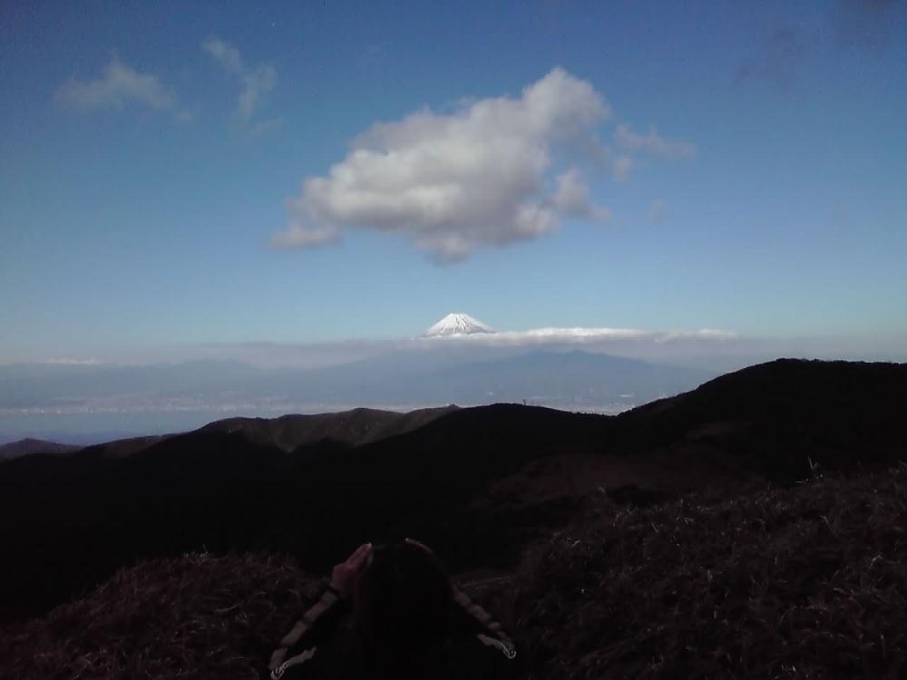 西伊豆スカ富士 1130.jpg