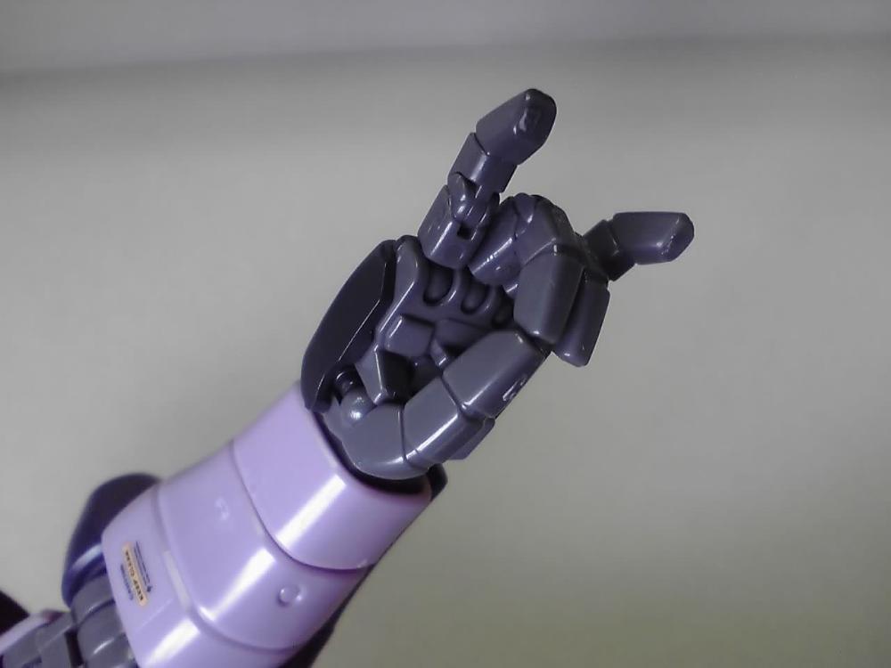黒ｻﾞク狐.jpg