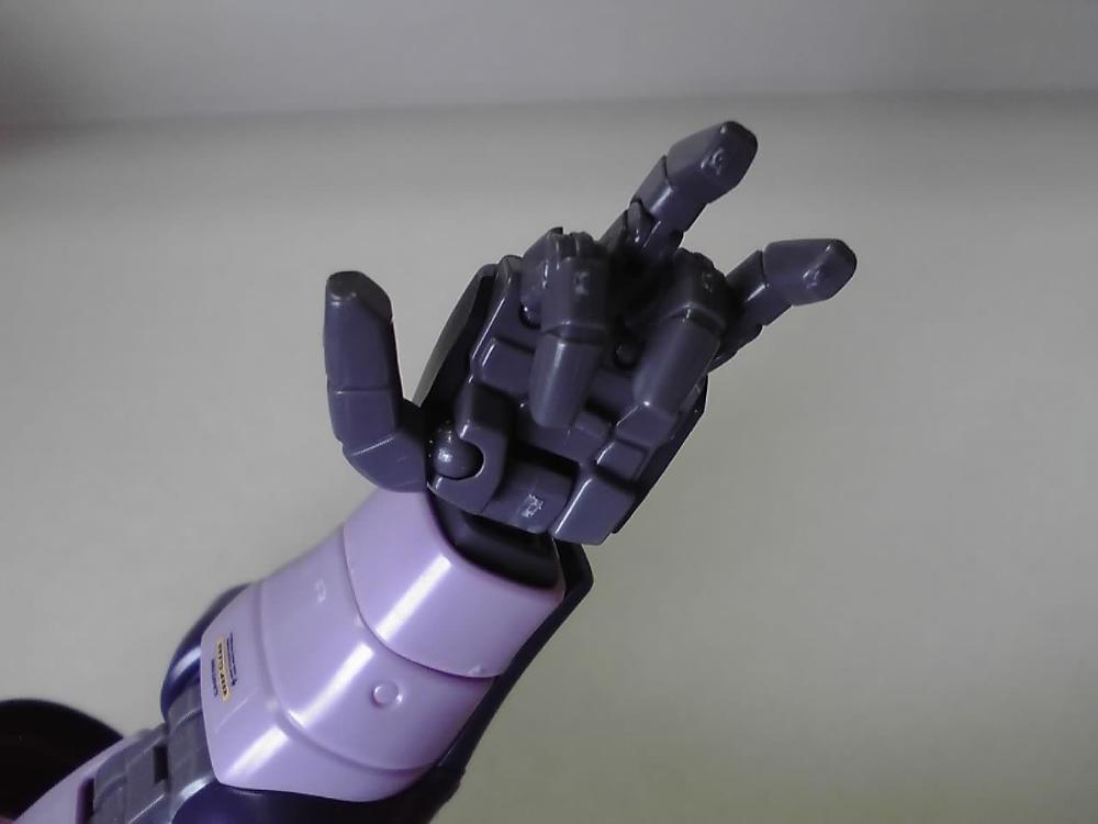 黒ｻﾞクｸﾞﾜｼ.jpg