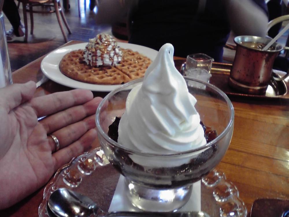 ｺｰﾋｰｾﾞﾘｰｿﾌﾄ.jpg