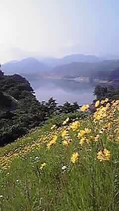P1000096.jpg
