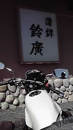 P1000128.jpg