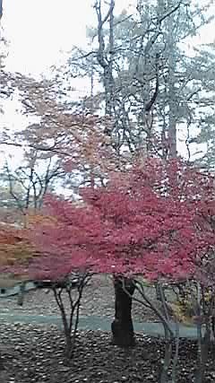 P1000163.jpg