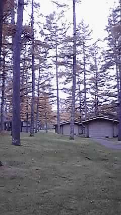 P1000164.jpg