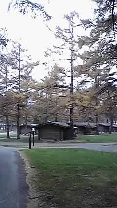 P1000165.jpg