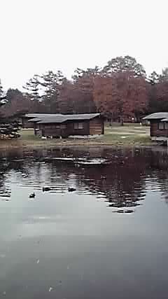 P1000166.jpg