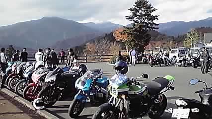 P1000175.jpg