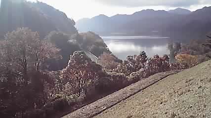 P1000177.jpg