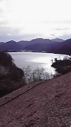 P1000212.jpg