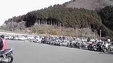 P1000213.jpg