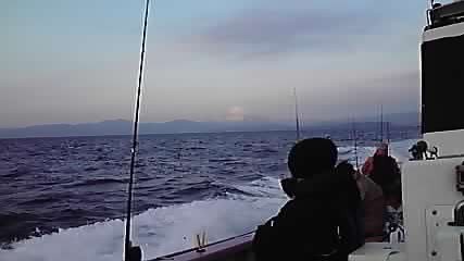P1000214.jpg