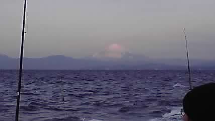 P1000215.jpg